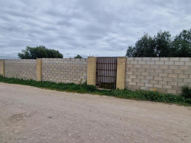 Parcela de 1.000 m2 en proindiviso