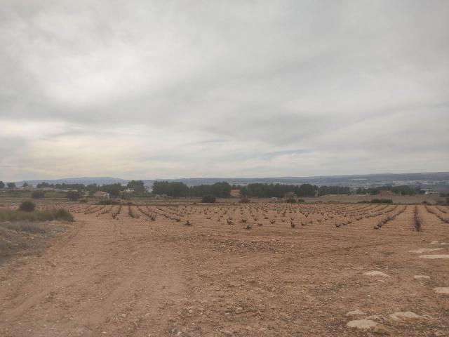 PARCELA DE 26.000 M2 EN ZONA SUGEL