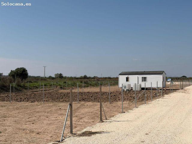 PARCELA DE 450 M2 EN LA MARINA ELCHE