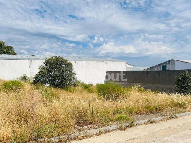 Parcela de 437 m² en Carcaboso con múltiples posibilidades de desarrollo