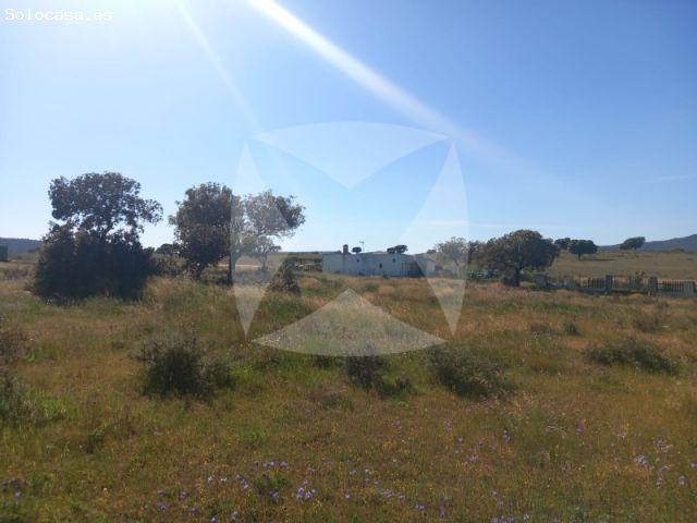 PARCELA DE 5000 M2 EN VENTA SITUADA EN LA CARRETERA DE BADAJOZ