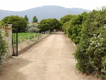 Parcela de 5000 mt2 en Panquehue Casa Tradicional Chilena
