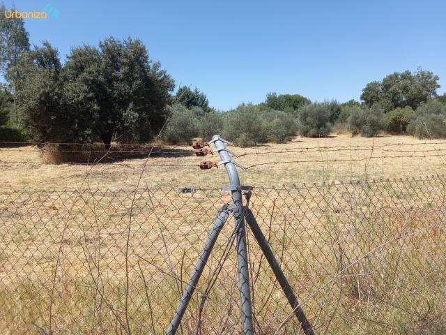 PARCELA DE 5.000m2 EN DEHESILLA DE CALAMON