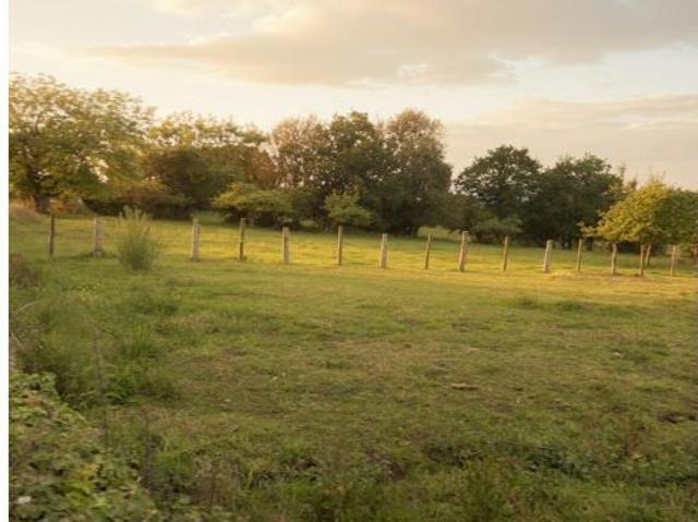 PARCELA EDIFICABLE DE 7.000 m2 EN PAÑEDA SIERO | LA MEJOR UBICACIÓN DEL CENTRO DE ASTURIAS