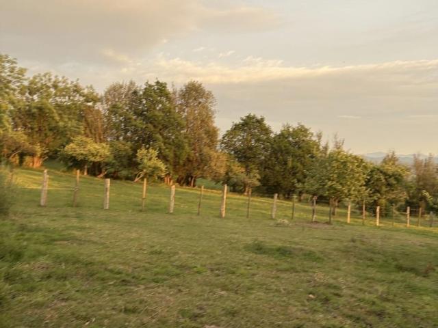 PARCELA EDIFICABLE DE 7.000 m2 EN PAÑEDA SIERO | LA MEJOR UBICACIÓN DEL CENTRO DE ASTURIAS