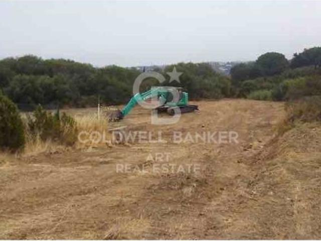 Parcela edificable en Sotogrande