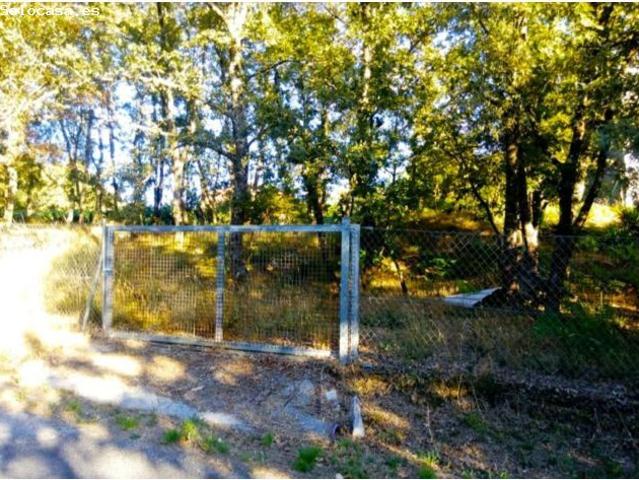 PARCELA EDIFICABLE EN VENTA