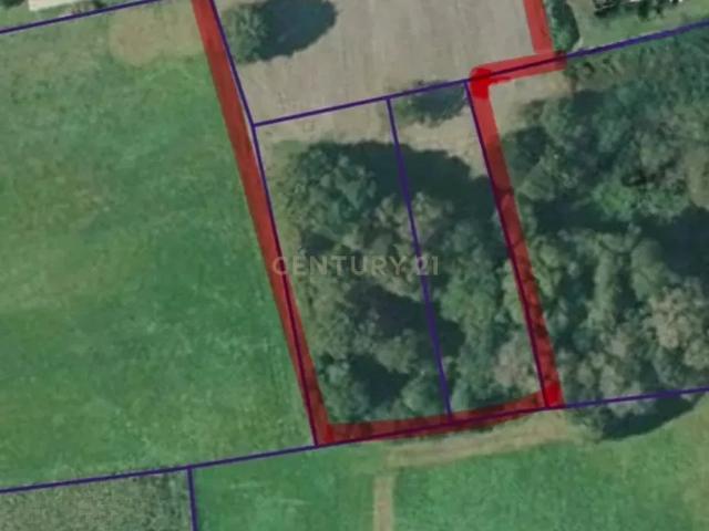 Parcela EDIFICABLE en venta en Ames – 6.000 m² con excelente ubicación cerca de Santiago de Compostela 10 minutos. Con pozo de agua