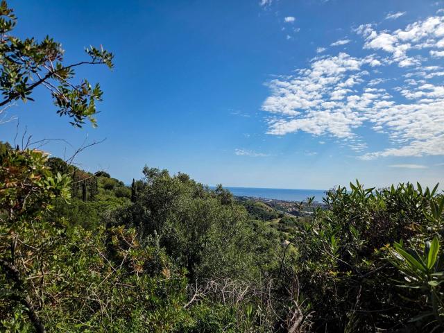 Parcela en Marbella Málaga