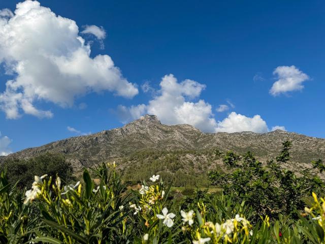 Parcela en Marbella Málaga