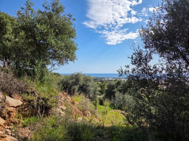 Parcela en Marbella Málaga