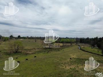 Parcela en Molina