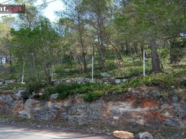 PARCELA EN OLIVELLA MAS MESTRE