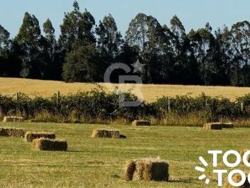 Parcela en Osorno