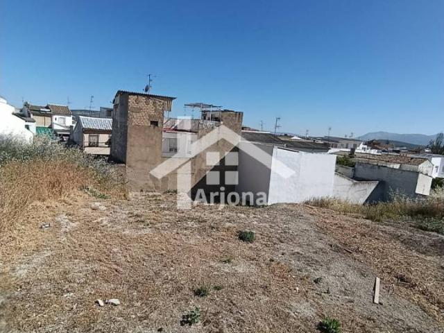 Parcela en alquiler en Lucena