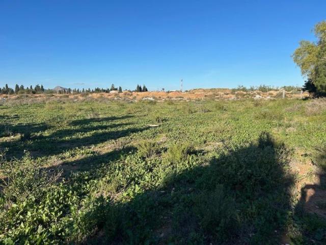 Parcela en alquiler en San Javier, San Javier