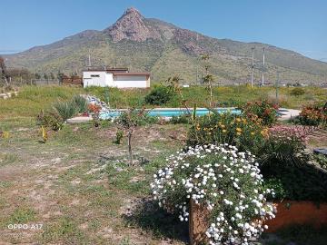 Parcela en Andacollo