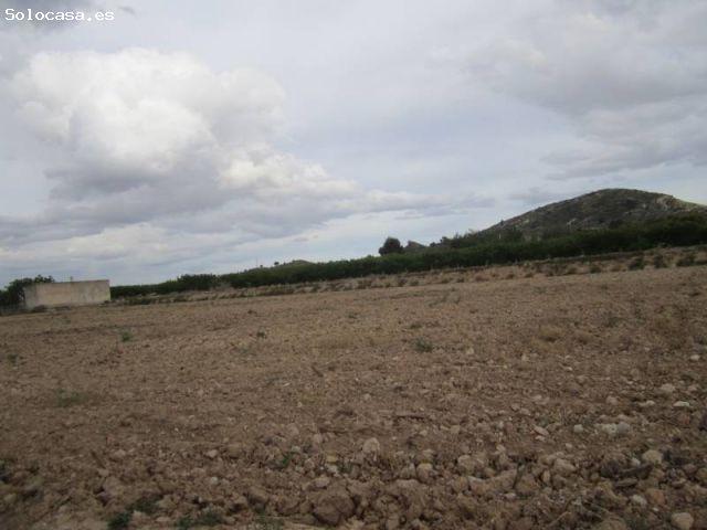 PARCELA EN ASPE
