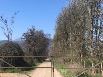 Parcela en Buin