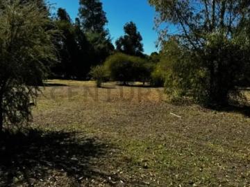 Parcela en Bulnes