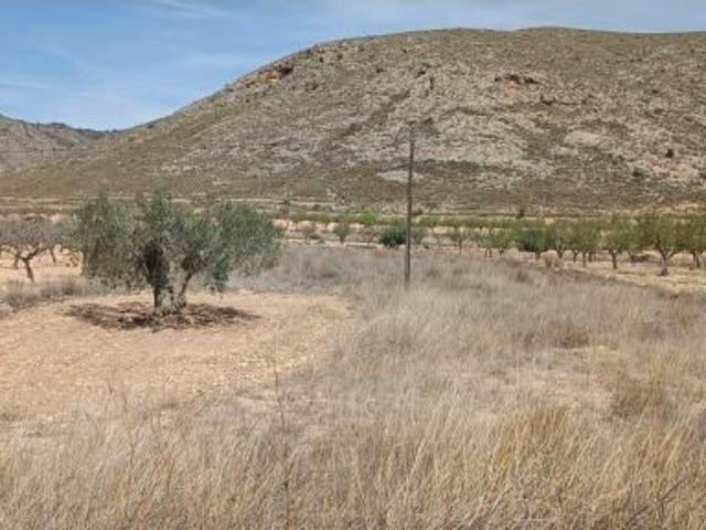 Parcela en Barbarroja