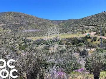 Parcela en Canela