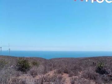 Parcela en Canela