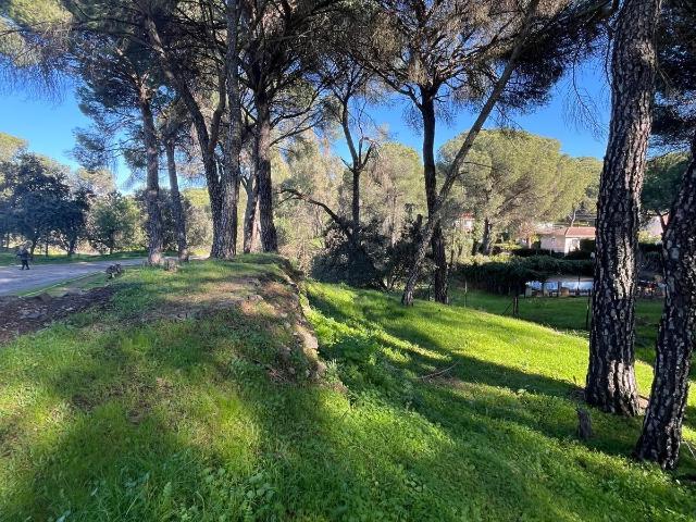 PARCELA EN CERRO MURIANO