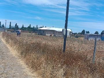 Parcela en Chillán Viejo