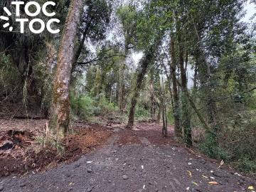 Parcela en Chonchi