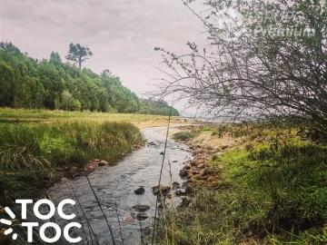Parcela en Cisnes