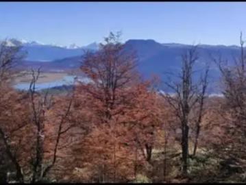 Parcela en Cochrane