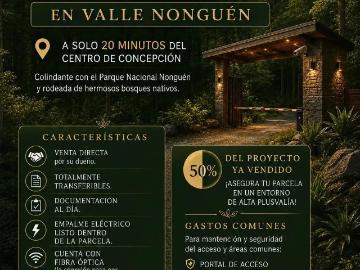 Parcela en Concepción