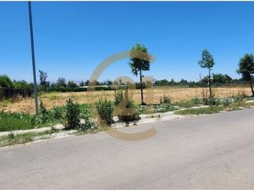 Parcela en Condominio Pinares de Mahuida Chicureo