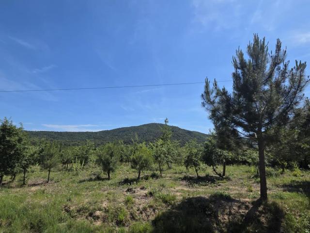 PARCELA EN EL BARRIO DE SAN ANDRES DE TORDERA