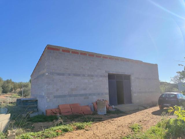 PARCELA EN EL PARAJE LA MARINA