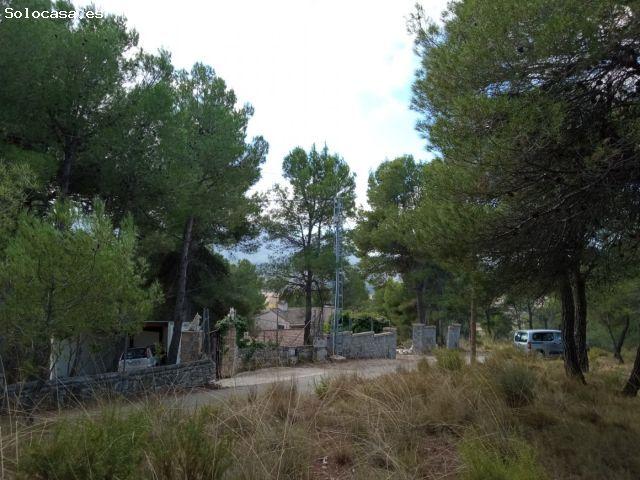 PARCELA EN EL SARGENTO ALCOY