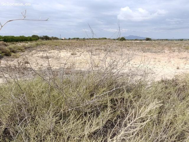 Parcela en Elche pedanias con vistas despejadas