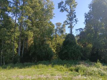 Parcela en Freire