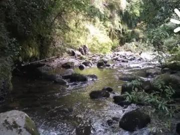 Parcela en Villarrica