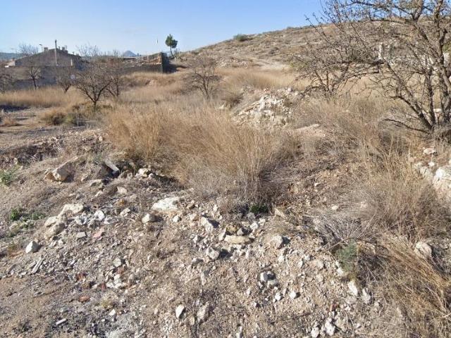 PARCELA EN HONDON DE LOS FRAILES