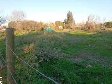 Parcela en Isla de Maipo