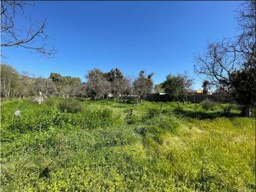 Parcela en Isla de Maipo