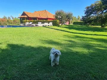 Parcela en Isla de Maipo
