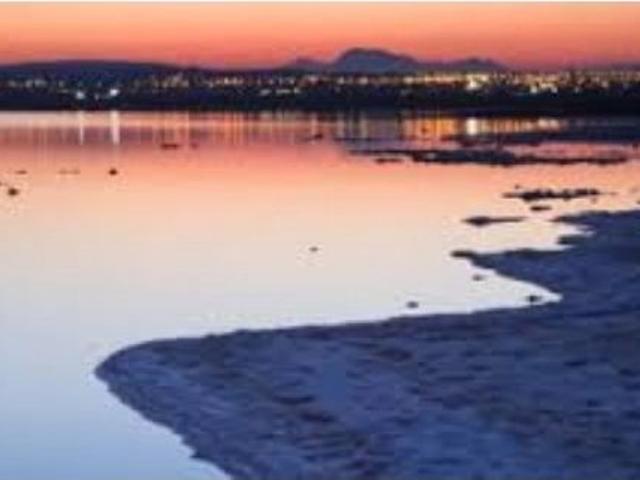 PARCELA EN LA MARINA