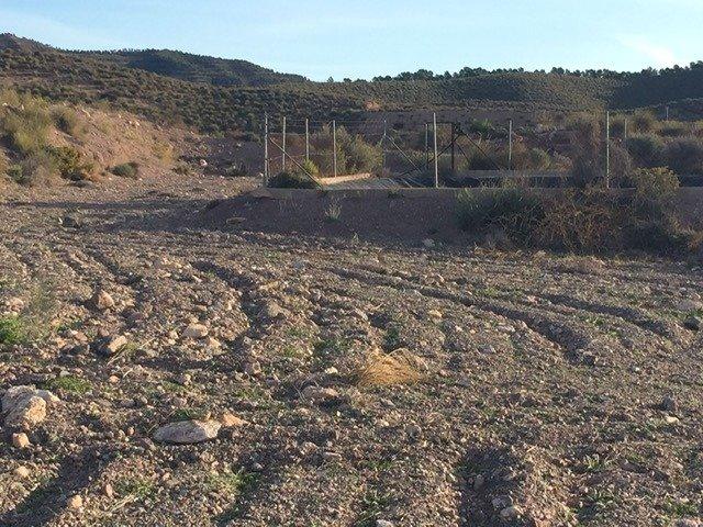 PARCELA EN LA SALUD, LA HOYA
