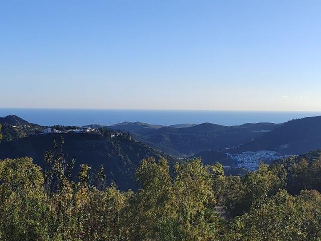 Parcela en La Zagaleta Benahavis