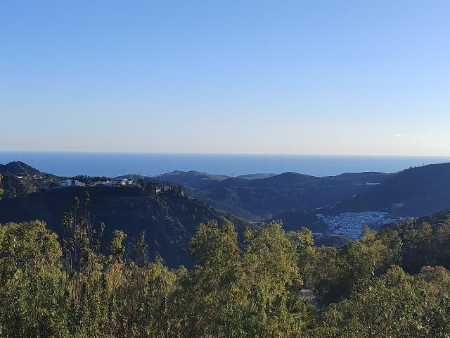 Parcela en La Zagaleta Benahavis