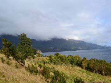 Parcela en Lago Ranco