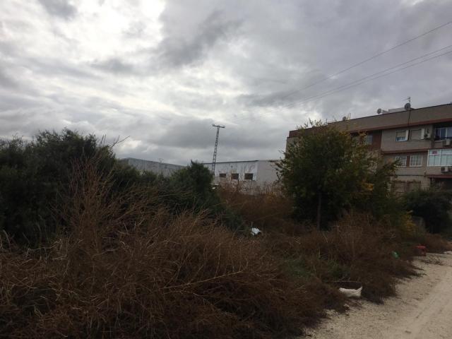 PARCELA EN LAS TORRES DE COTILLAS